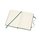 Moleskine Notizbuch Hardcover pocket liniert myrtengrn