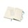 Moleskine Notizbuch Hardcover large blanko myrtengrn