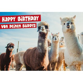 HAPPY BIRTHDAY VON DEINEN BUDDYS