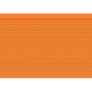 Karteikarten Brunnen DIN A5 100 Stck liniert orange
