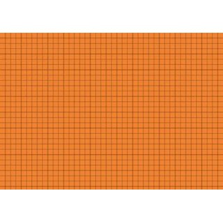 Karteikarten Brunnen DIN A5 100 Stck kariert orange