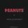 Moleskine PEANUTS Limited Edition thematische Box mit Notizbuch large Snoopy Admirer und 4 Blackwing Bleistiften