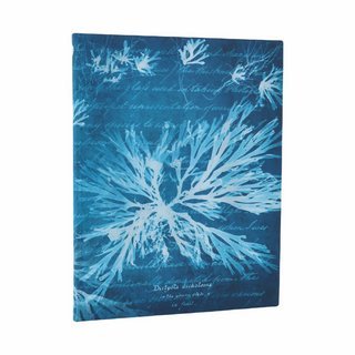 paperblanks Meeresblumen Softcover Ultra liniert